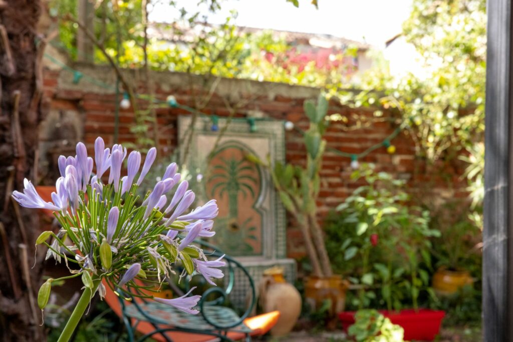 Jardin de toulouse espace maison d'hôte à Toulouse